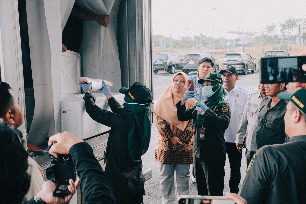 Bea Cukai dan Karantina Fasilitasi Ekspor 500 Kilogram Ikan Anggoli dari Kepri ke Hawai