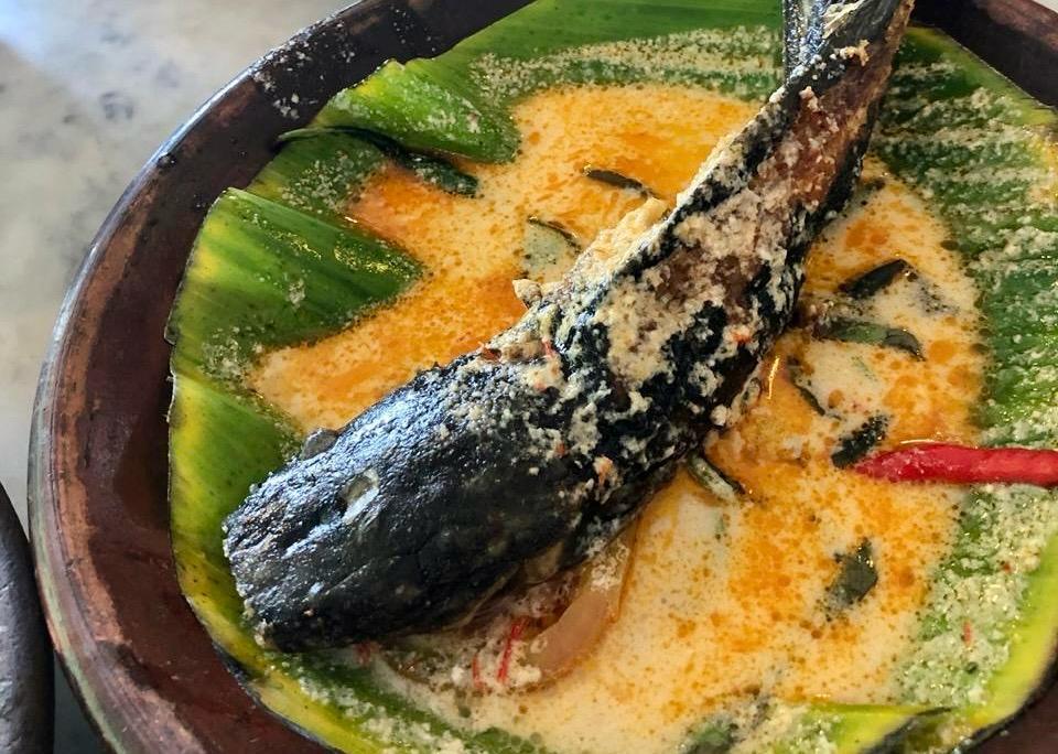 Lezat Dijadikan Menu Berbuka Puasa, Ini Resep Mangut Lele