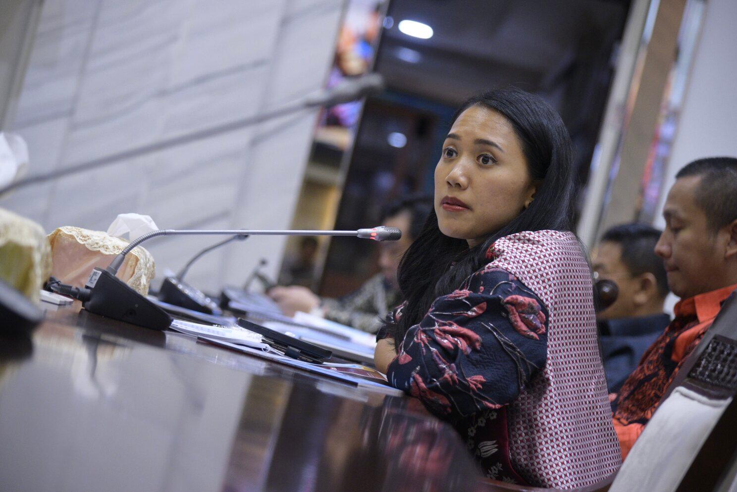 Kejar Penerimaan Pajak, Puteri Komarudin Dorong DJP Siapkan Strategi