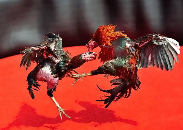 Sanksi Menanti Oknum TNI di Balik Penembakan Polisi Lampung