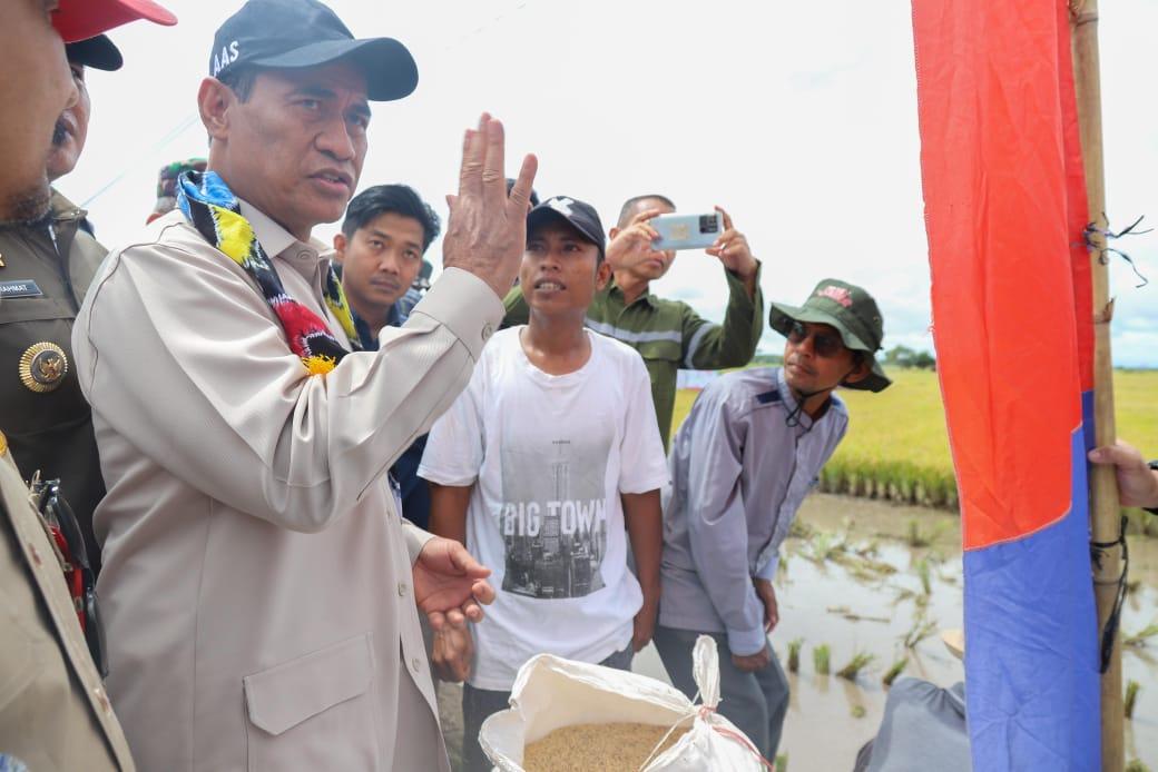 Mentan Amran Dorong Kalsel Tanam Padi 3 Kali Setahun, Saatnya jadi Lumbung Pangan Nasional!