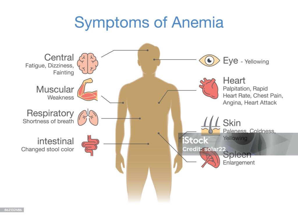 Makanan dan Minuman Ini Tidak Boleh Dikonsumsi Penderita Anemia