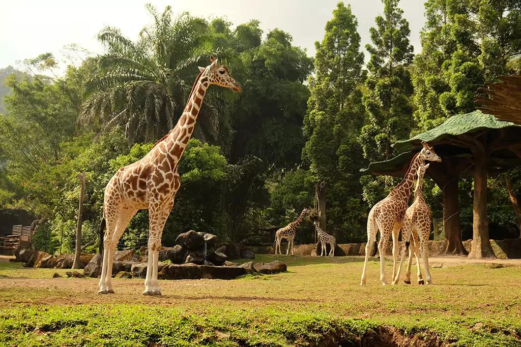 10 Rekomendasi Tempat Wisata Terbaik untuk Liburan Lebaran 2025