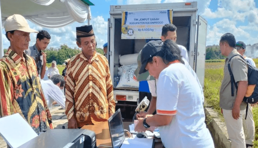 Bulog DIY Serap 2.400 Ton Gabah Petani Kulon Progo, Lebihi Target Tahun 2025