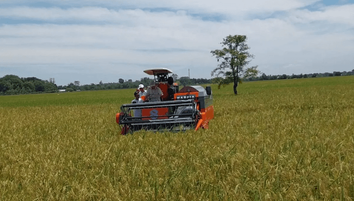 Produksi Padi Naik 2,8 Juta Ton, Amran Sebut Pompanisasi Jadi Kunci di Tengah El Nino