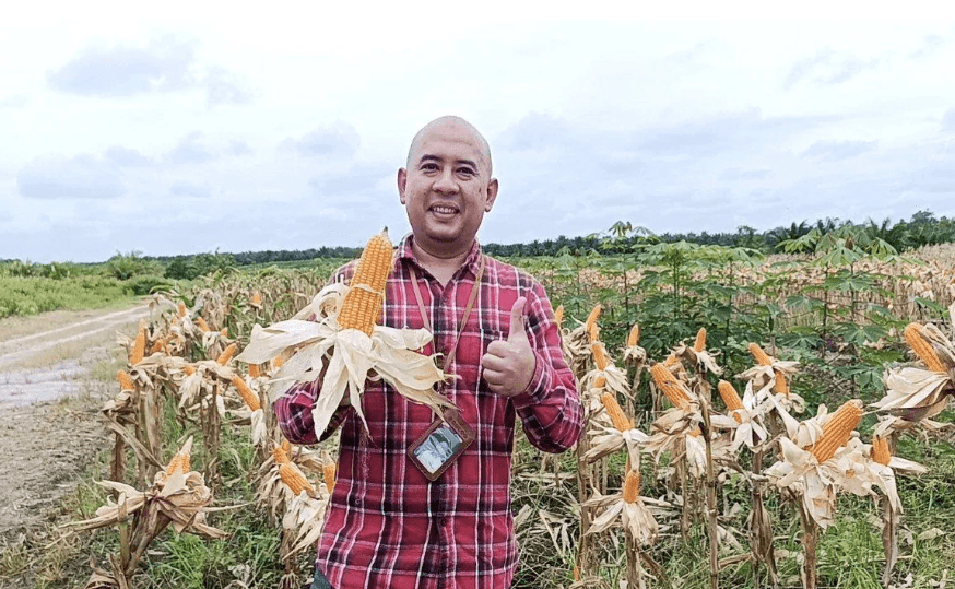 Bulog Jadi Pembeli Siaga Jagung di Tengah Belum Beroperasinya Industri Penyerap