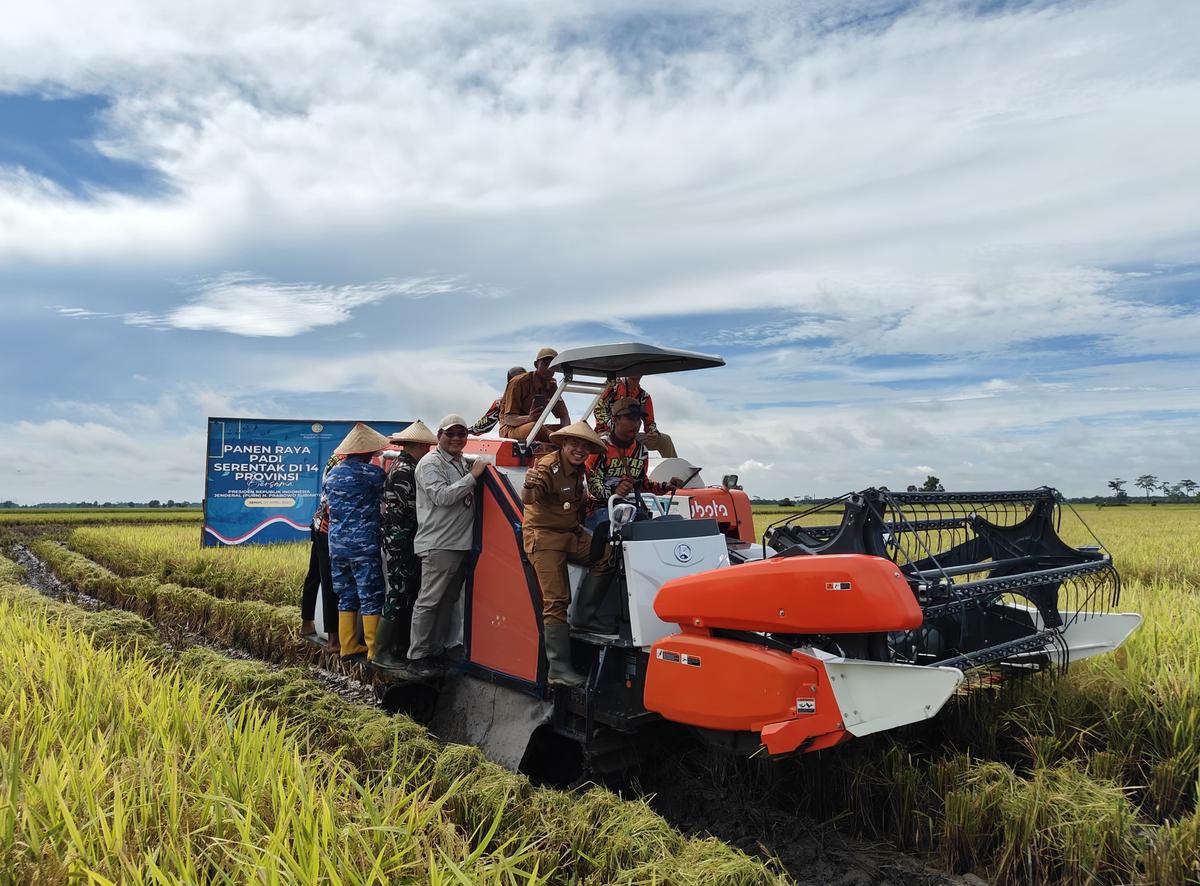 Panen Raya Serentak di 14 Provinsi, Tulang Bawang Siap jadi Lokomotif Swasembada Pangan Lampung