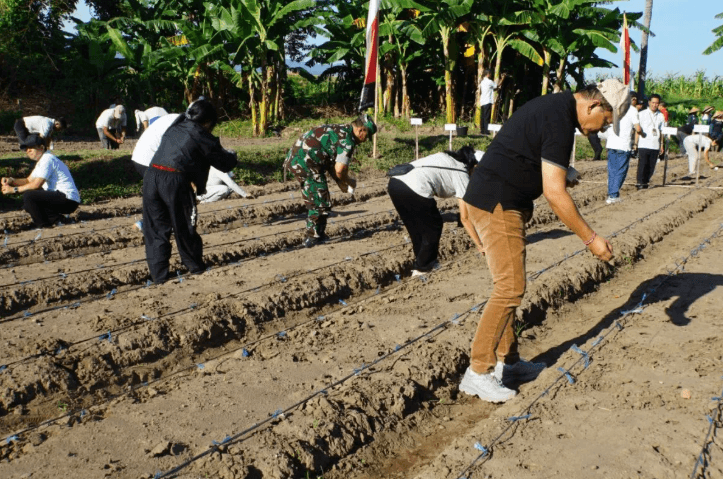 Bupati Buleleng Tanam Jagung di Hutan Kota untuk Wujudkan Kemandirian Pangan