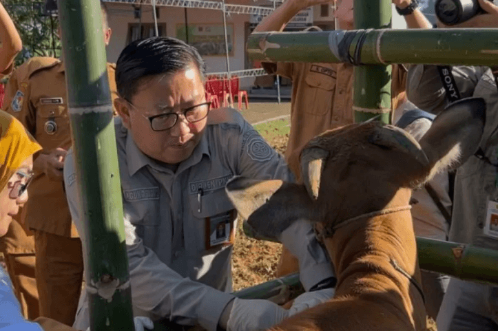 Kementan Perkuat Ekosistem Peternakan Rakyat di Bone, Sulawesi Selatan