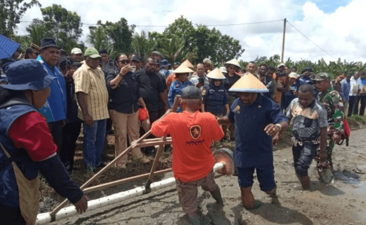 Bupati Jayapura Tanam Perdana Padi di Namblong untuk Wujudkan Swasembada Pangan