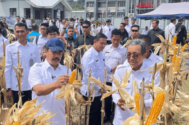 Menteri Agus Andrianto Panen Padi dan Jagung di Nusakambangan, Dorong Program Ketahanan Pangan Lapas