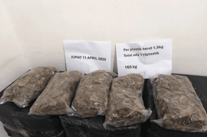 Perdagangan Sisik Trenggiling 165 Kilogram Digagalkan di Tangerang, Satu Pelaku Ditangkap