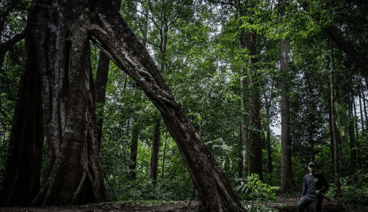 16 Geopark Baru Resmi Masuk Daftar UNESCO, Termasuk Dua Situs dari Indonesia