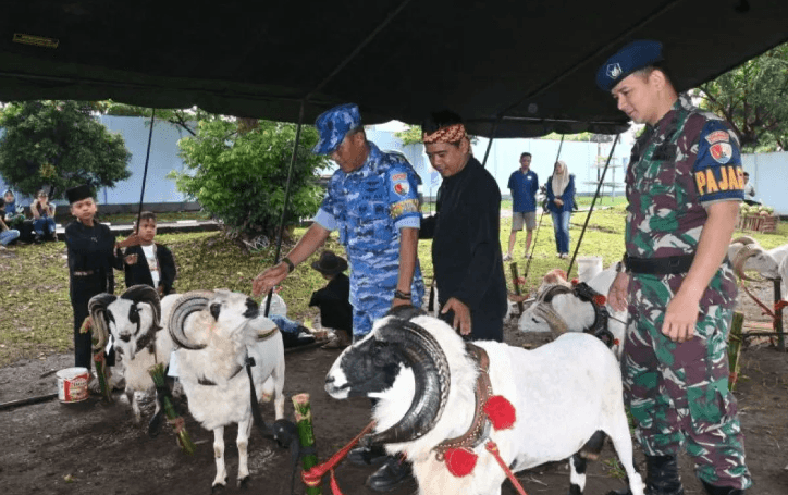 Lanud Husein Sastranegara Gelar Kontes Domba dan Kambing untuk Angkat Kearifan Lokal