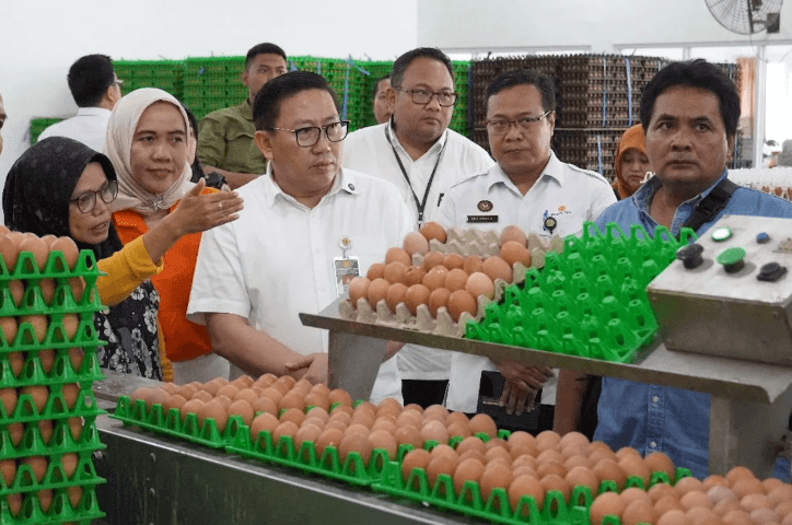 Kementan Perkuat Stabilitas Harga Telur dan Dukung Keberlanjutan Peternak Rakyat