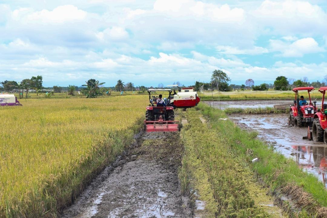 Duet Kompak Mentan Amran dan Wamentan Sudaryono, Ujung Tombak Capai Swasembada Pangan