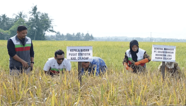 SIG Gandeng Pemkab Cilacap Tingkatkan Produktivitas Lahan Suboptimal Lewat Padi Biosalin 2