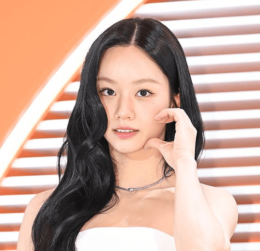 Penyelidikan Reservasi Ilegal Fan Meeting Hyeri Rampung, Tiket Curang Siap Dibatalkan
