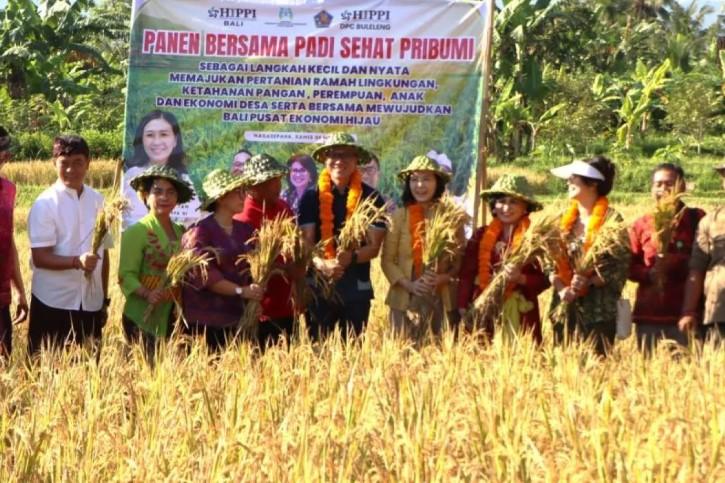 Veronica Tan Ikut Panen Padi di Bali, Soroti Hubungan Pangan Sehat dan Prestasi Anak