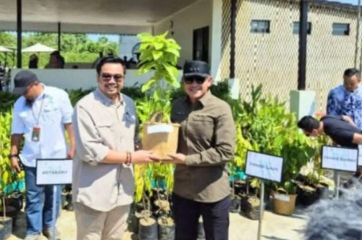Ribuan Bibit Tanaman Disalurkan ke Tujuh Daerah, Fokuskan pada Ketahanan Pangan dan Pemberdayaan Masyarakat