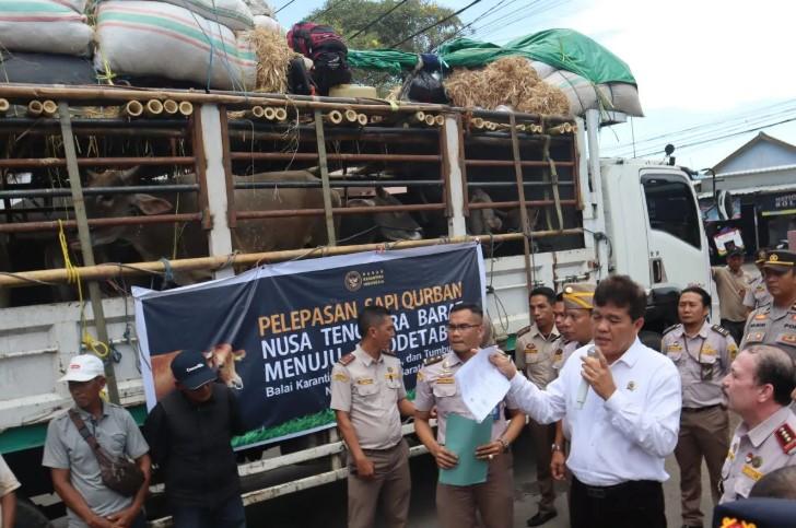Kepala Barantin Tinjau Karantina Sapi Kurban di Lombok Barat, Tekankan Pentingnya Kesehatan Hewan