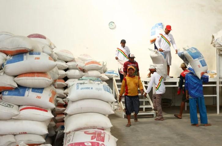 Produksi Benih Padi Koperasi Tabur Benih Melonjak Tiga Kali Lipat Berkat Dana LPDB