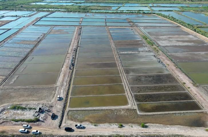 NTB Didorong Jadi Sentra Garam Nasional, Pemerintah Siapkan 1.000 Hektare Lahan