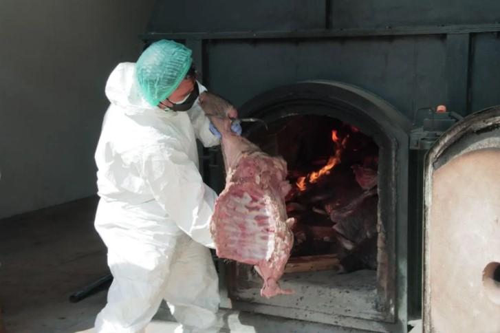 Barantin Musnahkan 2,9 Ton Daging Babi Hutan Ilegal Tanpa Sertifikat Karantina di Cilegon
