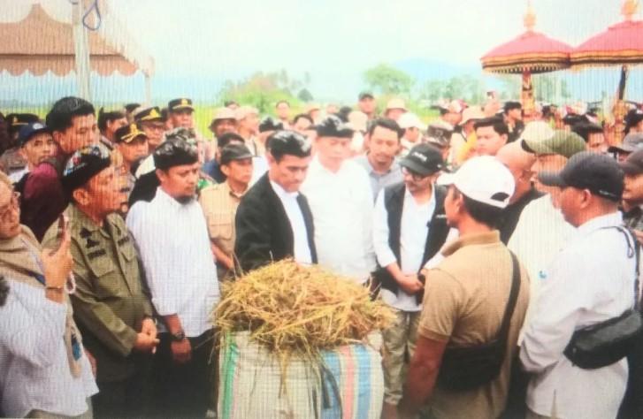 Menteri Pertanian Dorong Petani Lutim Tanam Padi Empat Kali Setahun