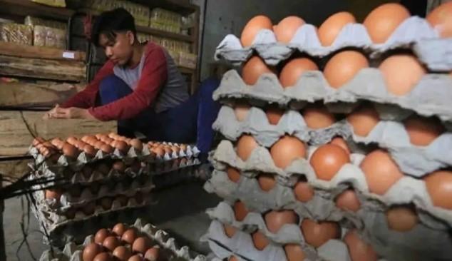 Harga Telur dan Daging Ayam Naik, Bapanas Catat Penurunan Harga Bahan Pokok Lain