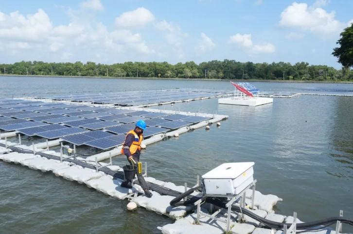 PLN Indonesia Power dan IESR Perkuat Sinergi untuk Transisi Energi Berkelanjutan