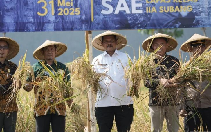 Warga Binaan Lapas Subang Panen 12 Ton Padi, Dirjenpas: Bukti Keberhasilan Pembinaan