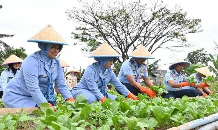 Lanud Husein Sastranegara Produksi Sayuran Berkualitas untuk Ribuan Menu Makan Bergizi Gratis