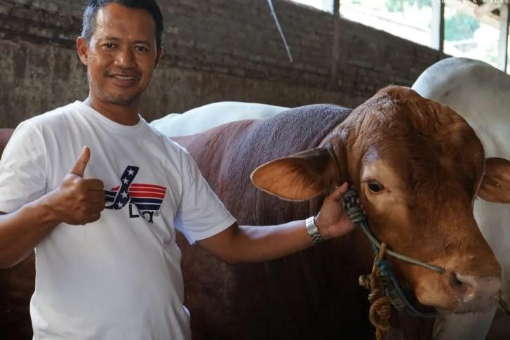 Puluhan Hewan Kurban Disumbangkan ke Masjid Istiqlal, Sapi Presiden Jadi Sorotan