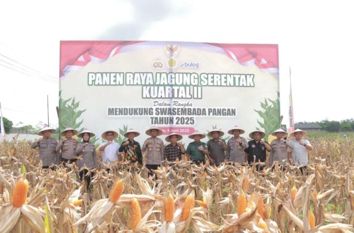 Polres Blitar Panen 2,1 Ton Jagung, Dukung Ketahanan Pangan Nasional Lewat Benih Bhayangkara
