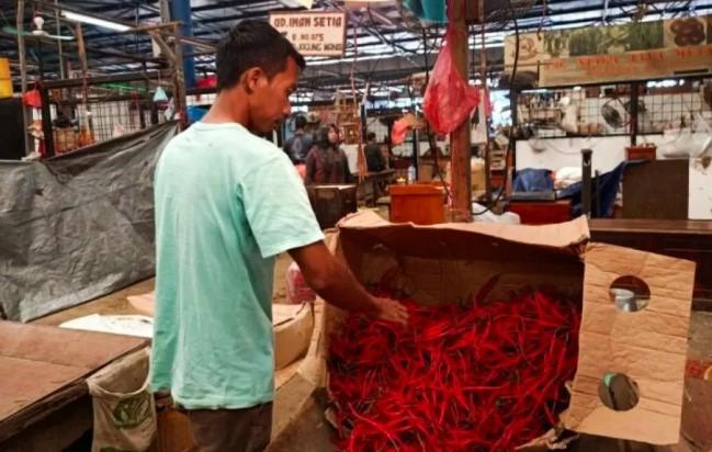 Mayoritas Komoditas Alami Penurunan, Namun Harga Daging dan Ikan Cenderung Naik