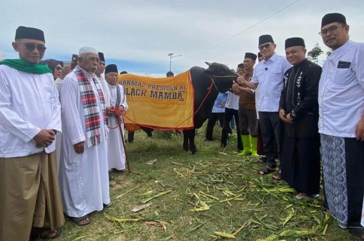 Penyerahan Sapi Kurban Presiden Dilakukan Simbolis di Huntap Petobo