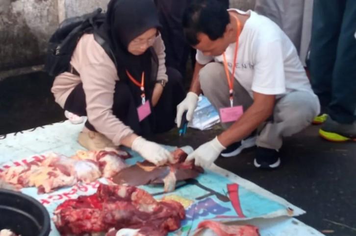 Ditemukan Enam Kasus Penyakit pada Daging Kurban di Mataram Selama Idul Adha
