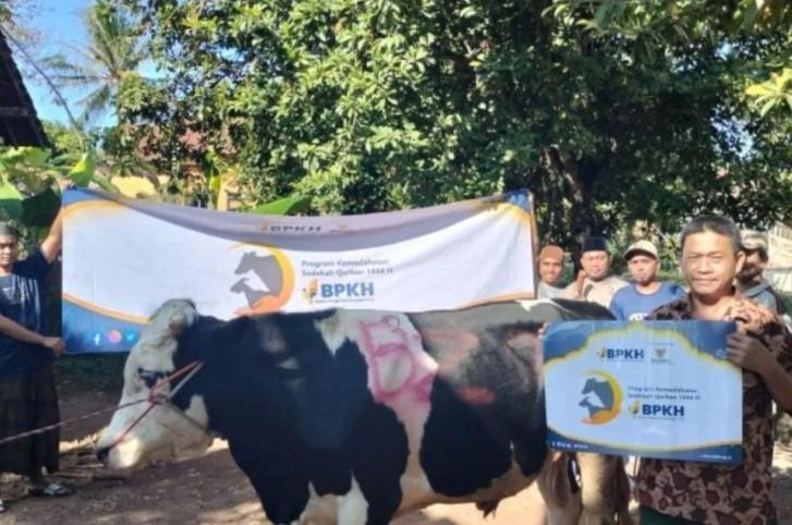 BPKH Salurkan Ratusan Hewan Kurban ke Penjuru Negeri dalam Program Sedekah Kurban 1446 H