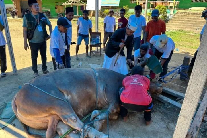 Daging Kurban Presiden Prabowo Dibagikan kepada 333 Warga di Ponpes Darul Mukhlisin Kendari