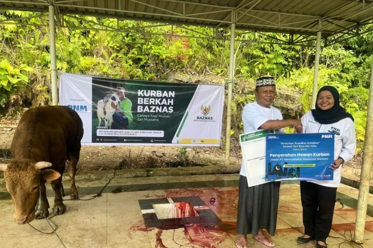 Distribusi Hewan Kurban PNM Sasar Wilayah 3T dalam Semangat HUT ke-26