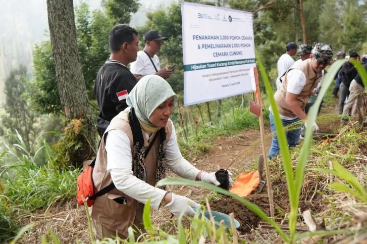 Aksi Penghijauan PLN di Jalur Wisata Bromo Tanam Ribuan Cemara untuk Kurangi Emisi Karbon
