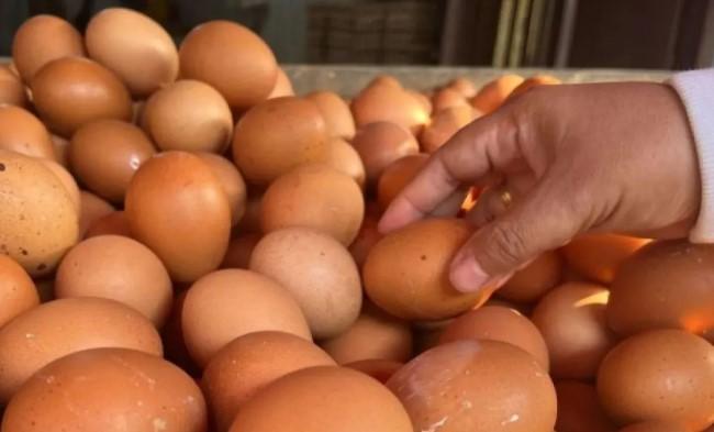 Telur dan Cabai Naik, Komoditas Pokok Lain Turun: Ini Daftar Lengkap Harga Pangan Nasional Versi Bapanas