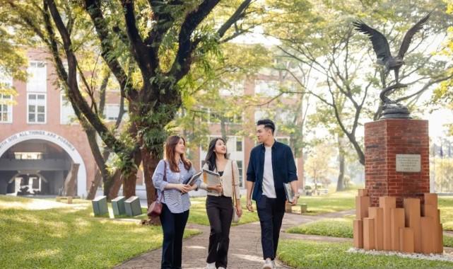 Mengapa Harus Belajar AI Sekarang? Dunia Industri Butuh Talenta Siap Pakai