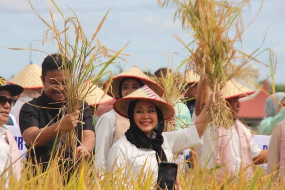Titiek Soeharto Dukung Program Sawah Pokok Murah untuk Diterapkan Nasional Guna Capai Swasembada Pangan