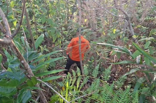 Tim SAR Masih Cari Warga Hilang di Hutan Batu Dinding Dekat Kawasan IKN