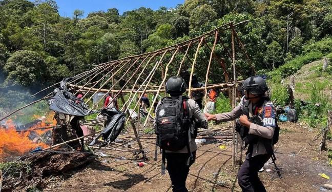 Bareskrim Polri Bongkar 25 Hektare Ladang Ganja di Aceh, 180 Ton Tanaman Dimusnahkan