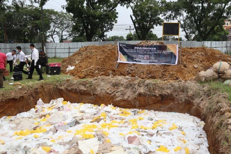 Karantina Sumut Musnahkan 14,6 Ton Mangga Ilegal Asal Thailand, Mengandung Larva Berbahaya dan Rugikan Negara