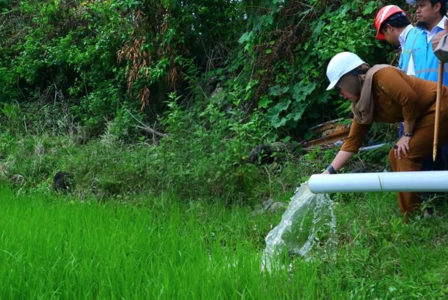 Listrik PLN Tekan Biaya Operasional Petani Barru hingga 55 Persen Melalui Program Electrifying Agriculture