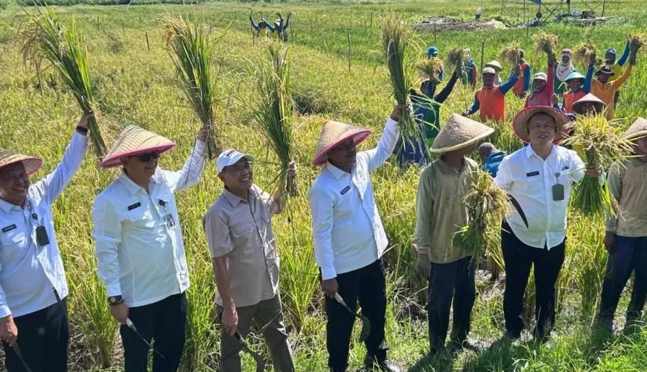 Kementerian Imipas Optimalkan 2.000 Hektare Lahan Nusakambangan untuk Ketahanan Pangan Nasional